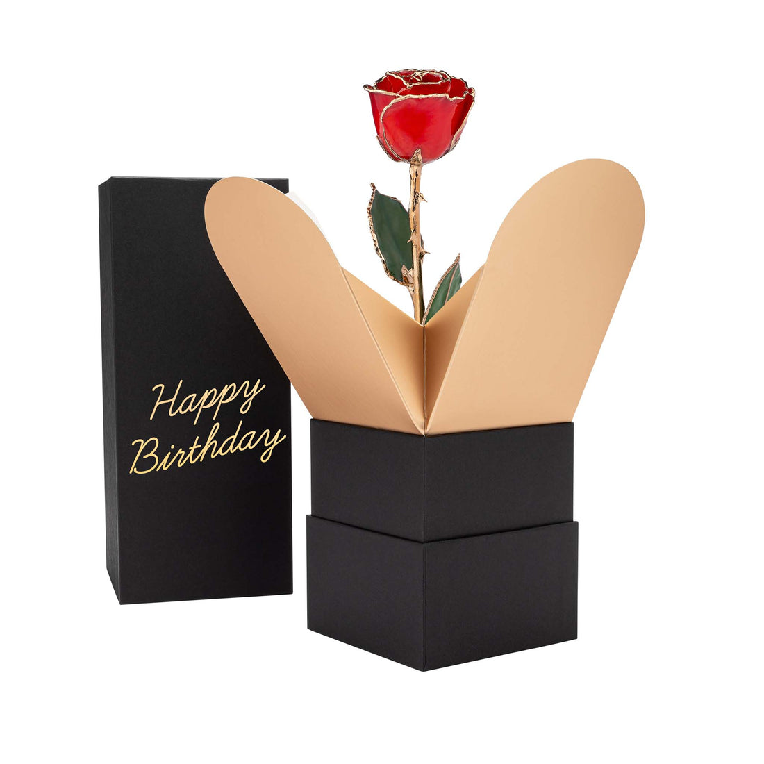 "Happy Birthday" Personalized 24K Gold Trim Red Forever Rose Combo with Bloom Box & Phantom Vase™ Combo