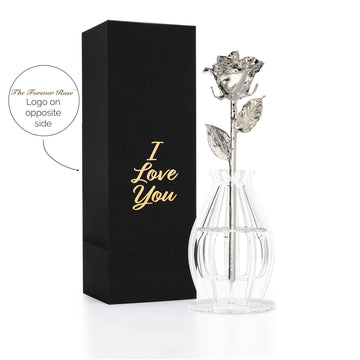 "I Love You" Personalized Silver Forever Rose Combo with Bloom Box & Phantom Vase™ Combo