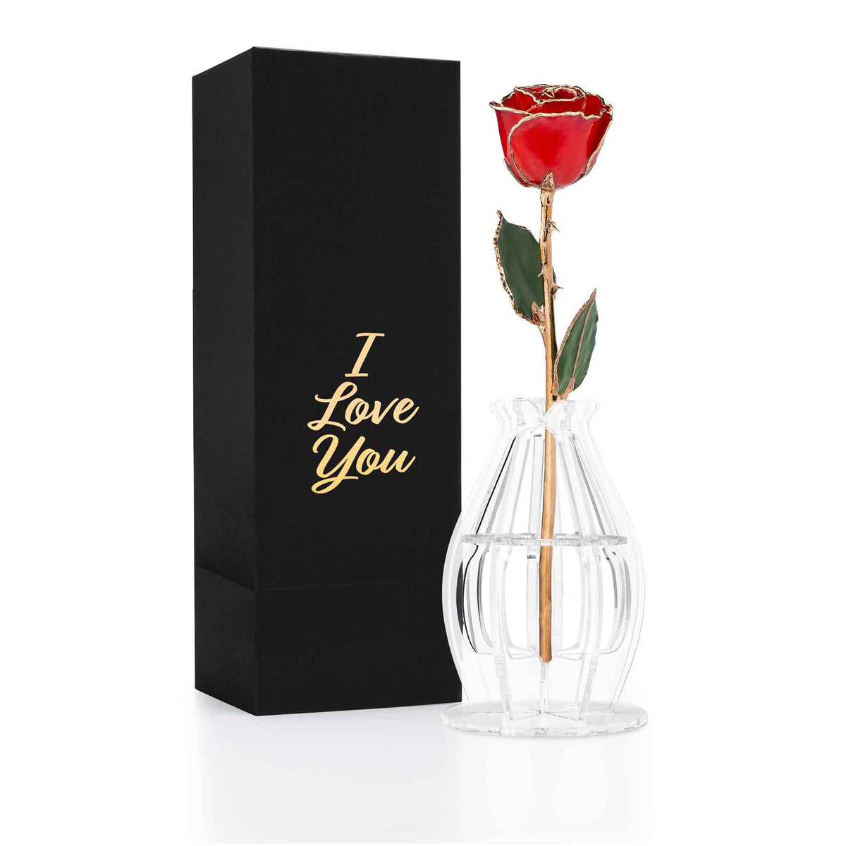 &quot;I Love You&quot; Personalized 24K Gold Trim Red Forever Rose Combo with Bloom Box &amp; Phantom Vase™ Combo