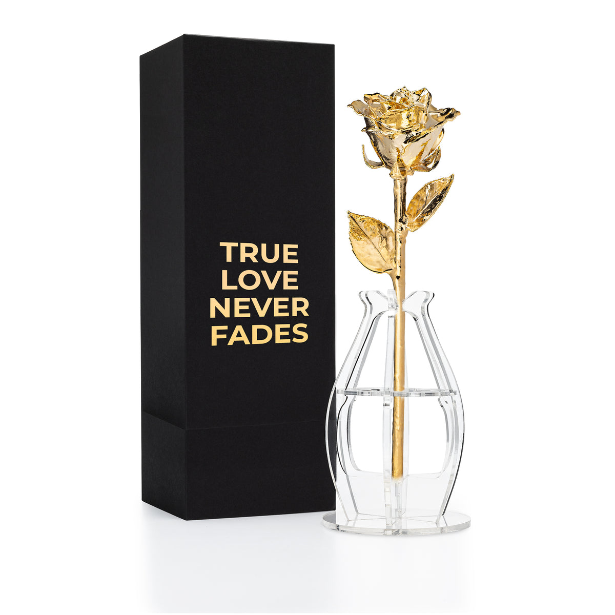 &quot;True Love Never Fades&quot; Personalized 24K Gold Forever Rose Combo with Bloom Box &amp; Phantom Vase™ Combo