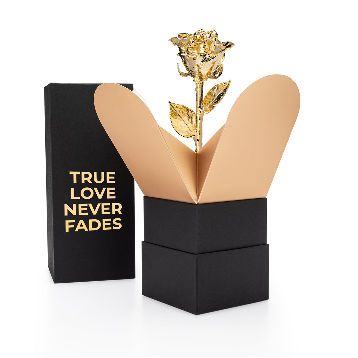 &quot;True Love Never Fades&quot; Personalized 24K Gold Forever Rose Combo with Bloom Box &amp; Phantom Vase™ Combo