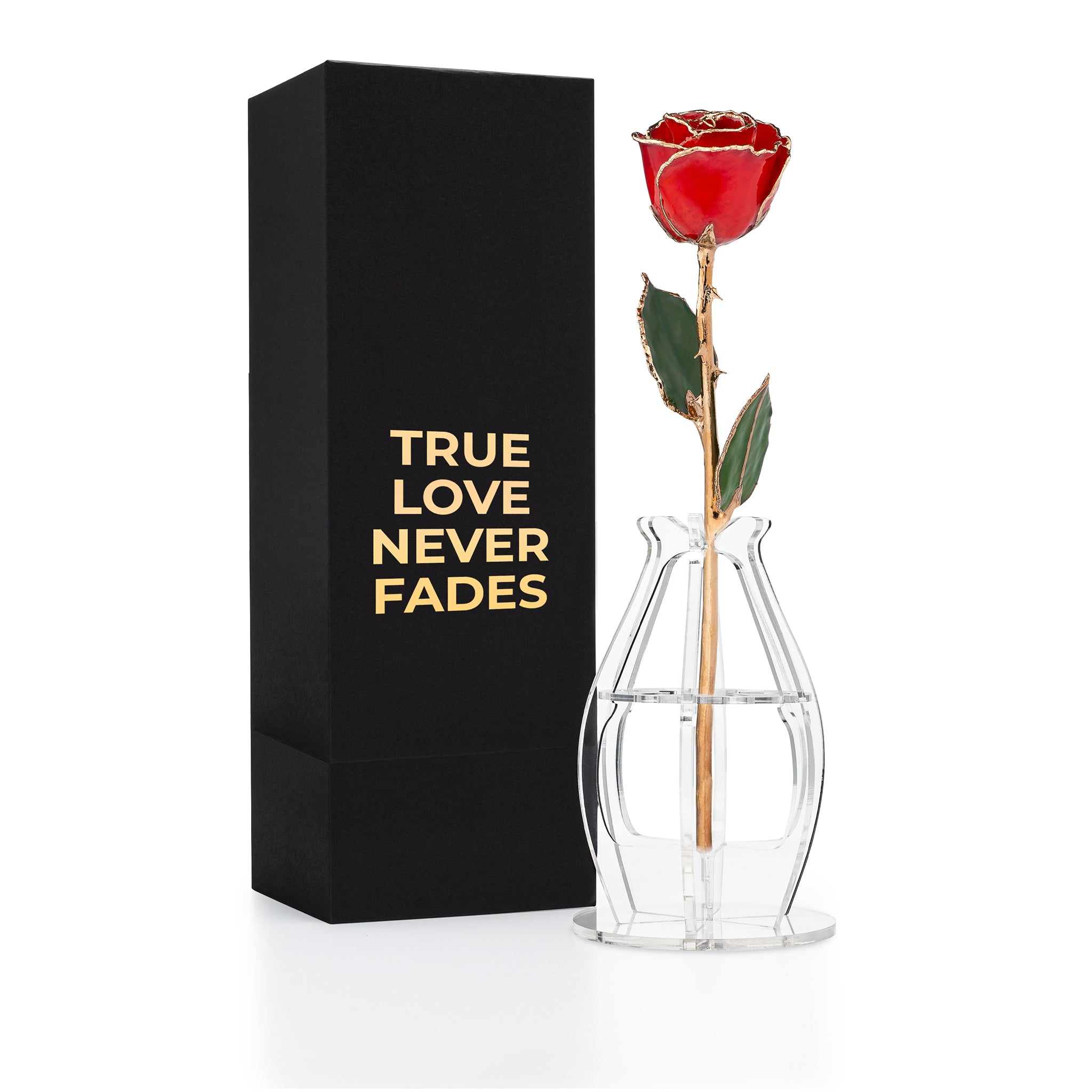 "True Love Never Fades" Personalized 24K Gold Trim Red Forever Rose Combo with Bloom Box & Phantom Vase™ Combo