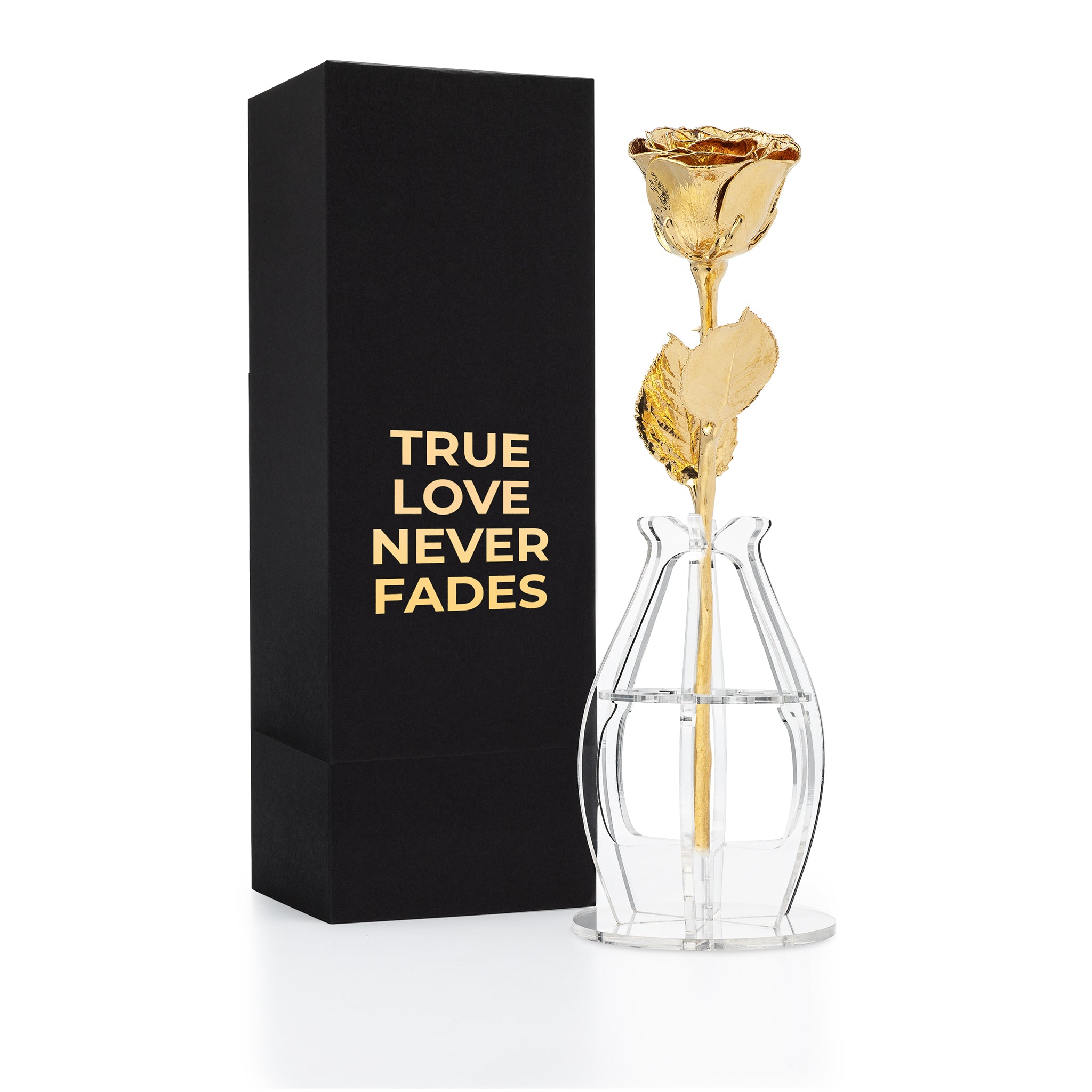 "True Love Never Fades" Personalized High Detail 24K Gold Forever Rose Combo with Bloom Box & Phantom Vase™ Combo