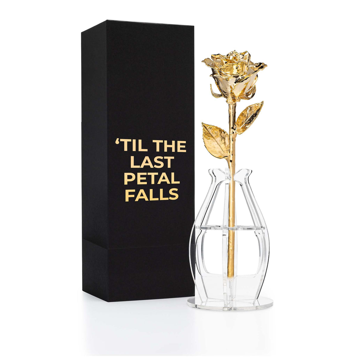 &quot;&#39;Til The Last Petal Falls&quot; Personalized 24K Gold Forever Rose Combo with Bloom Box &amp; Phantom Vase™ Combo