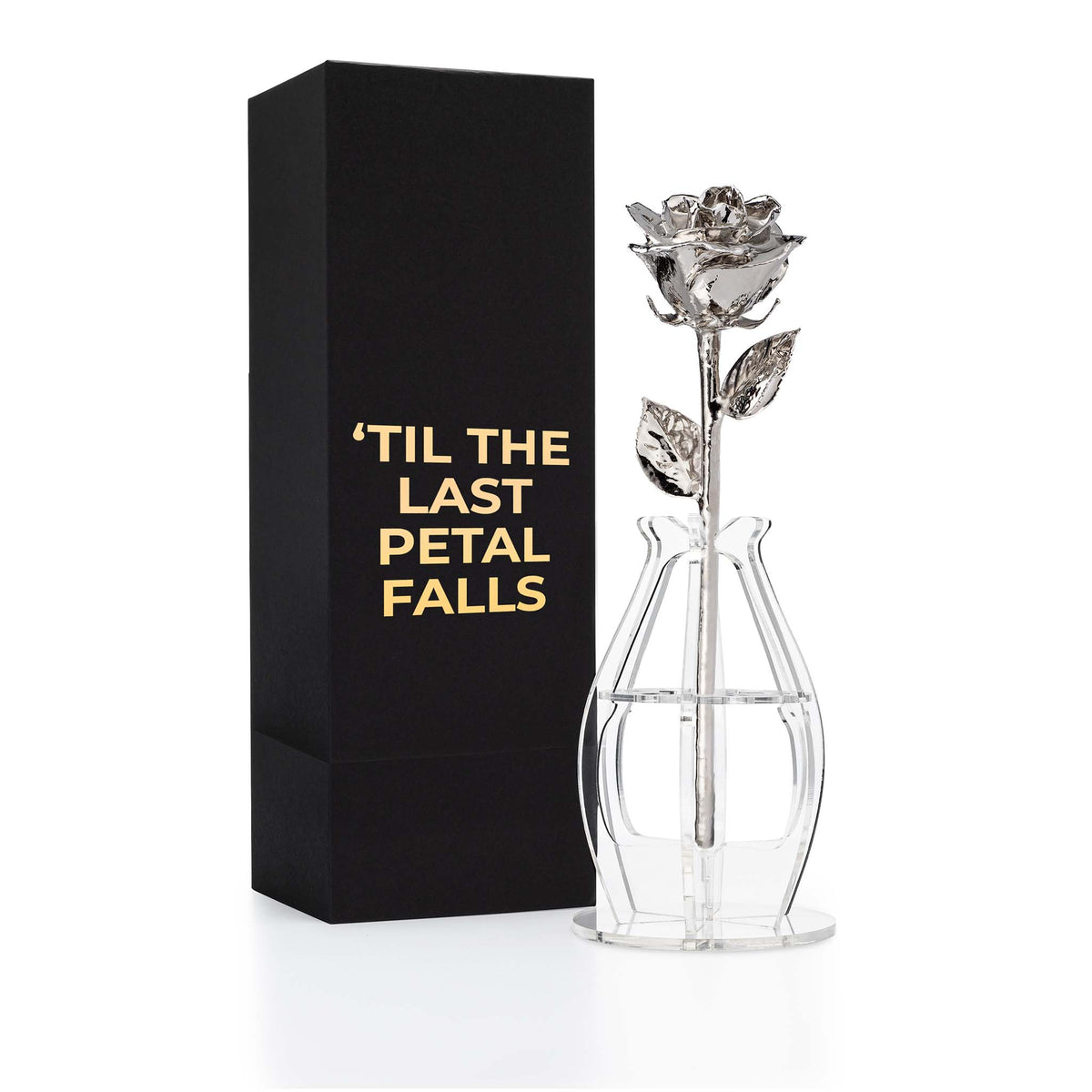 &quot;&#39;Til The Last Petal Falls&quot; Personalized Platinum Forever Rose Combo with Bloom Box &amp; Phantom Vase™ Combo