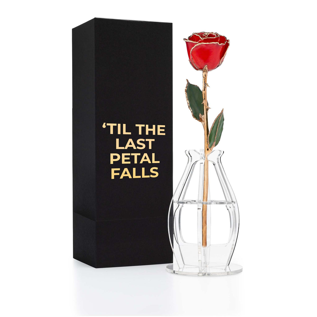 &quot;&#39;Til The Last Petal Falls&quot; Personalized 24K Gold Trim Red Forever Rose Combo with Bloom Box &amp; Phantom Vase™ Combo