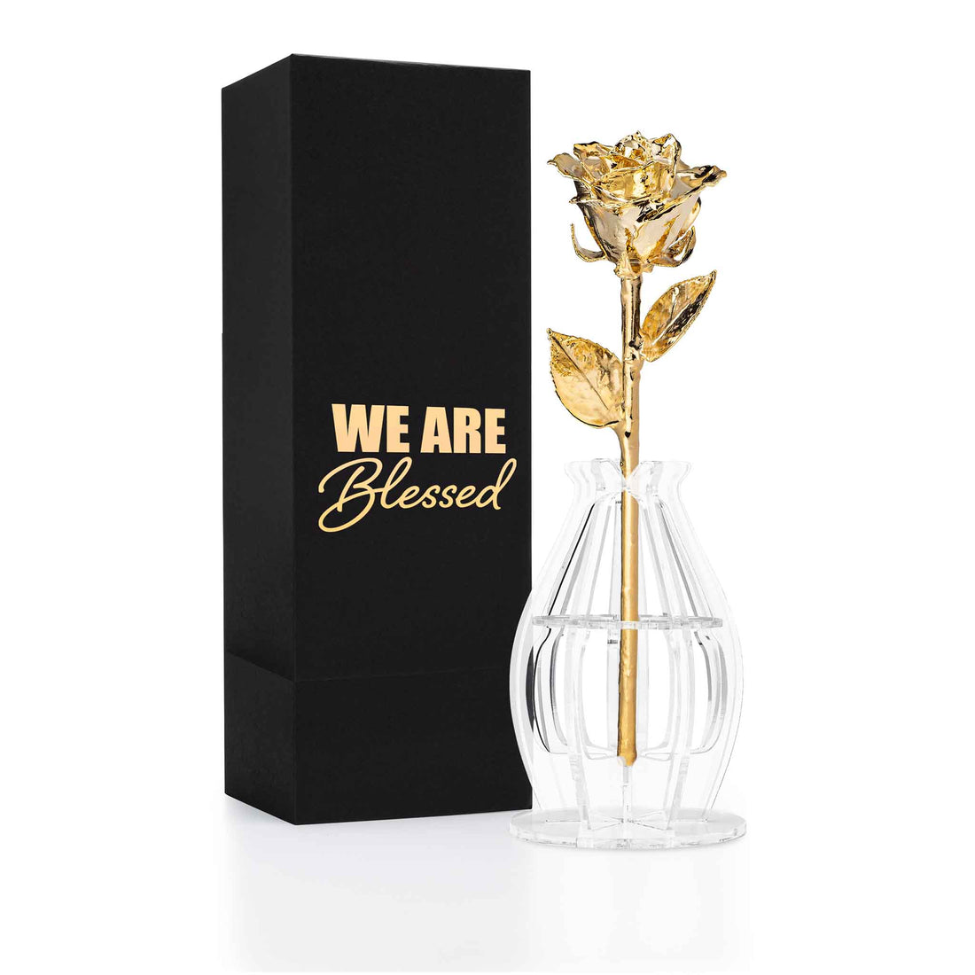 "We Are Blessed" Personalized 24K Gold Forever Rose Combo with Bloom Box & Phantom Vase™ Combo