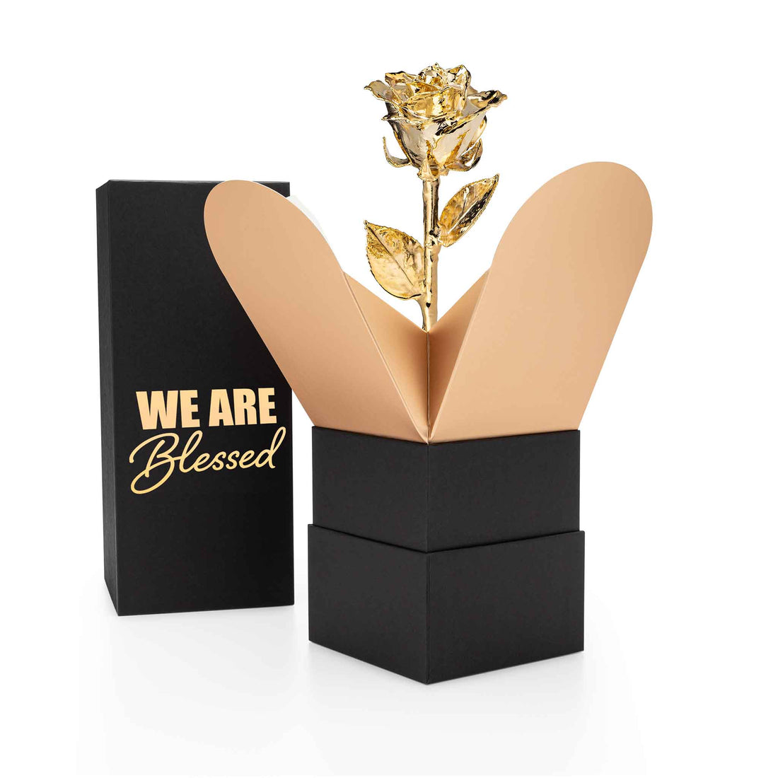 "We Are Blessed" Personalized 24K Gold Forever Rose Combo with Bloom Box & Phantom Vase™ Combo