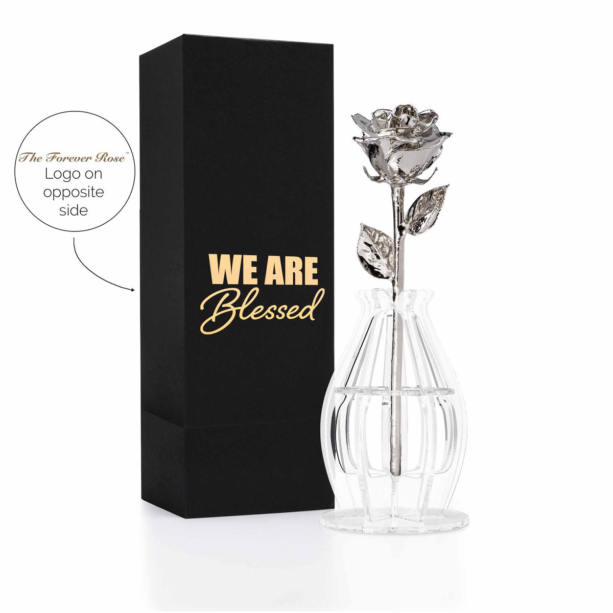 &quot;We Are Blessed&quot; Personalized Platinum Forever Rose Combo with Bloom Box &amp; Phantom Vase™ Combo