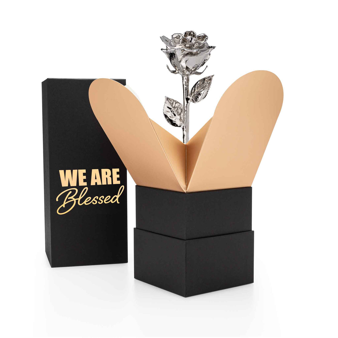 "We Are Blessed" Personalized Platinum Forever Rose Combo with Bloom Box & Phantom Vase™ Combo