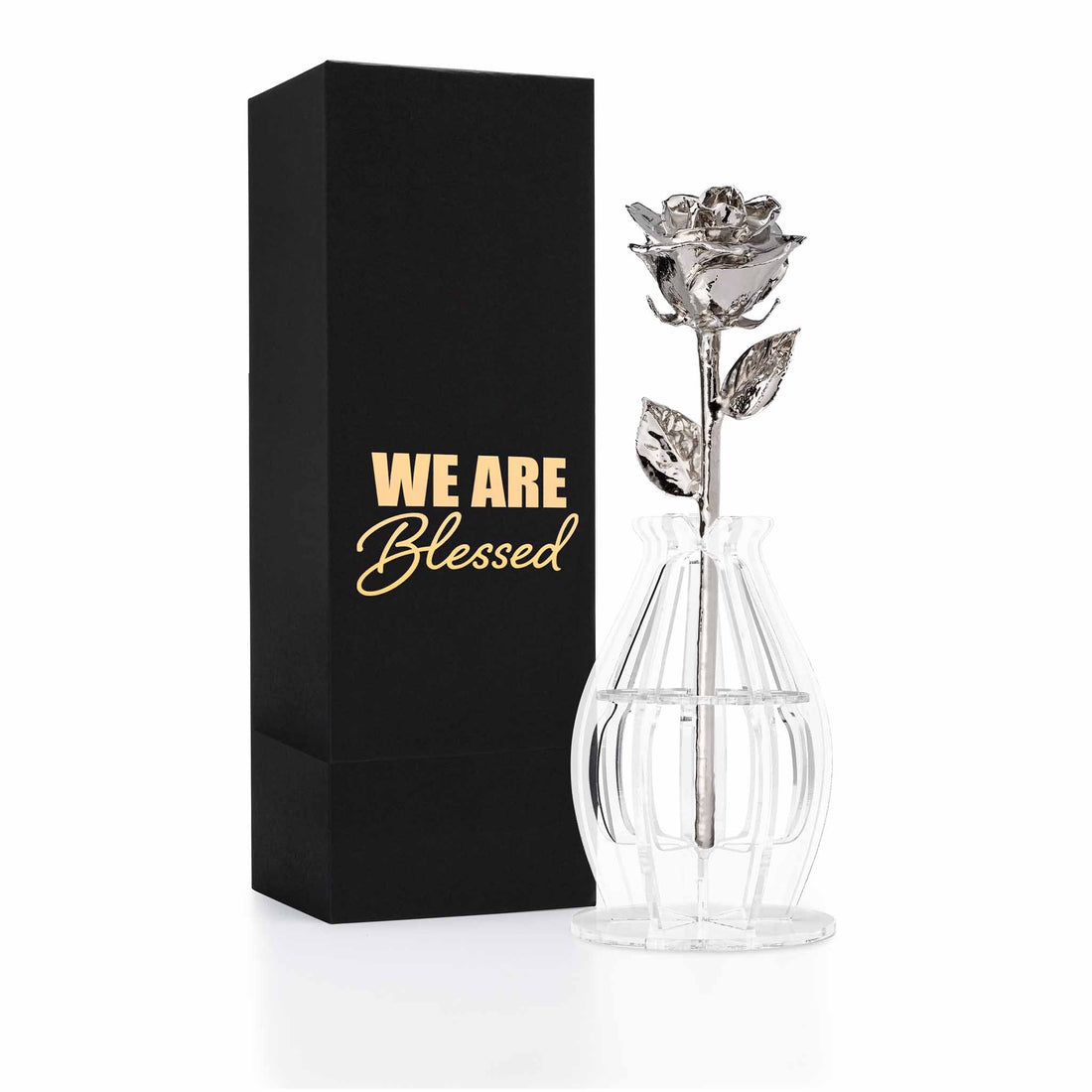 "We Are Blessed" Personalized Platinum Forever Rose Combo with Bloom Box & Phantom Vase™ Combo