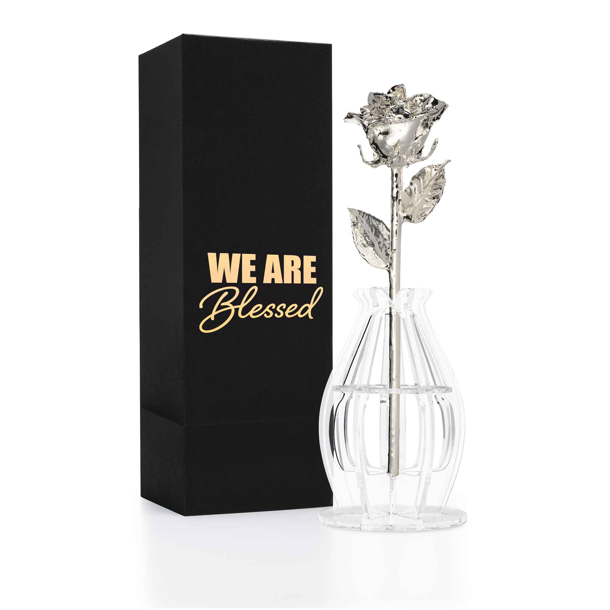 "We are Blessed" Personalized Silver Forever Rose Combo with Bloom Box & Phantom Vase™ Combo