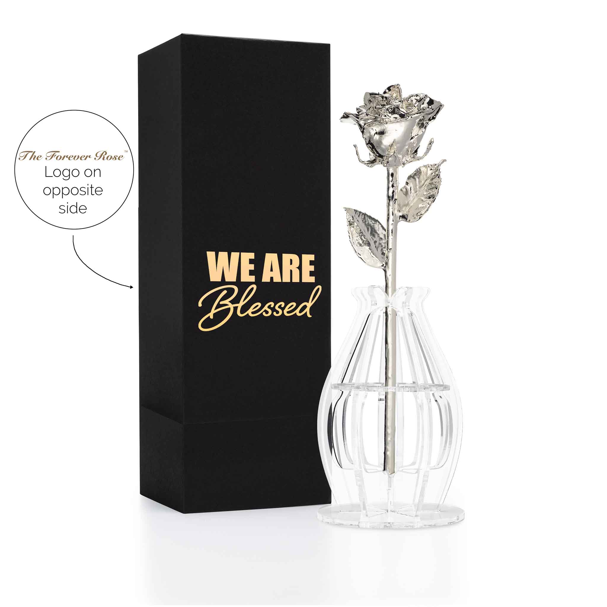 "We are Blessed" Personalized Silver Forever Rose Combo with Bloom Box & Phantom Vase™ Combo
