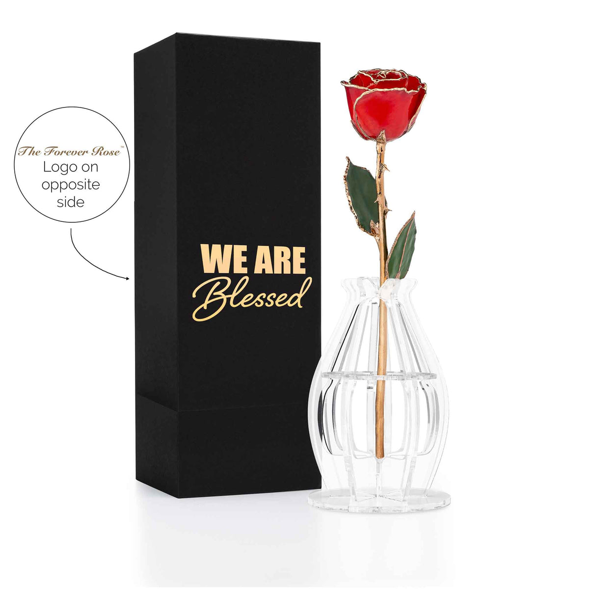 &quot;We Are Blessed&quot; Personalized 24K Gold Trim Red Forever Rose Combo with Bloom Box &amp; Phantom Vase™ Combo