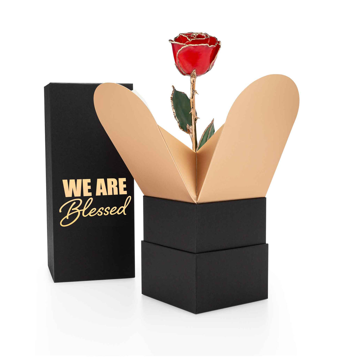 &quot;We Are Blessed&quot; Personalized 24K Gold Trim Red Forever Rose Combo with Bloom Box &amp; Phantom Vase™ Combo