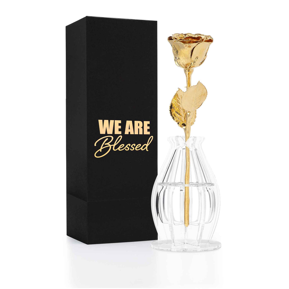 &quot;We Are Blessed&quot; Personalized High Detail 24K Gold Forever Rose Combo with Bloom Box &amp; Phantom Vase™ Combo