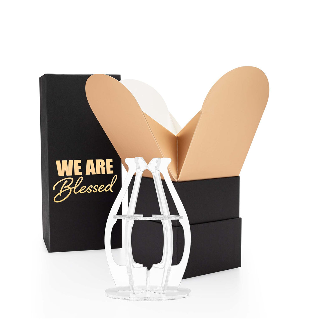 "We Are Blessed" Bloom Box & Phantom Vase
