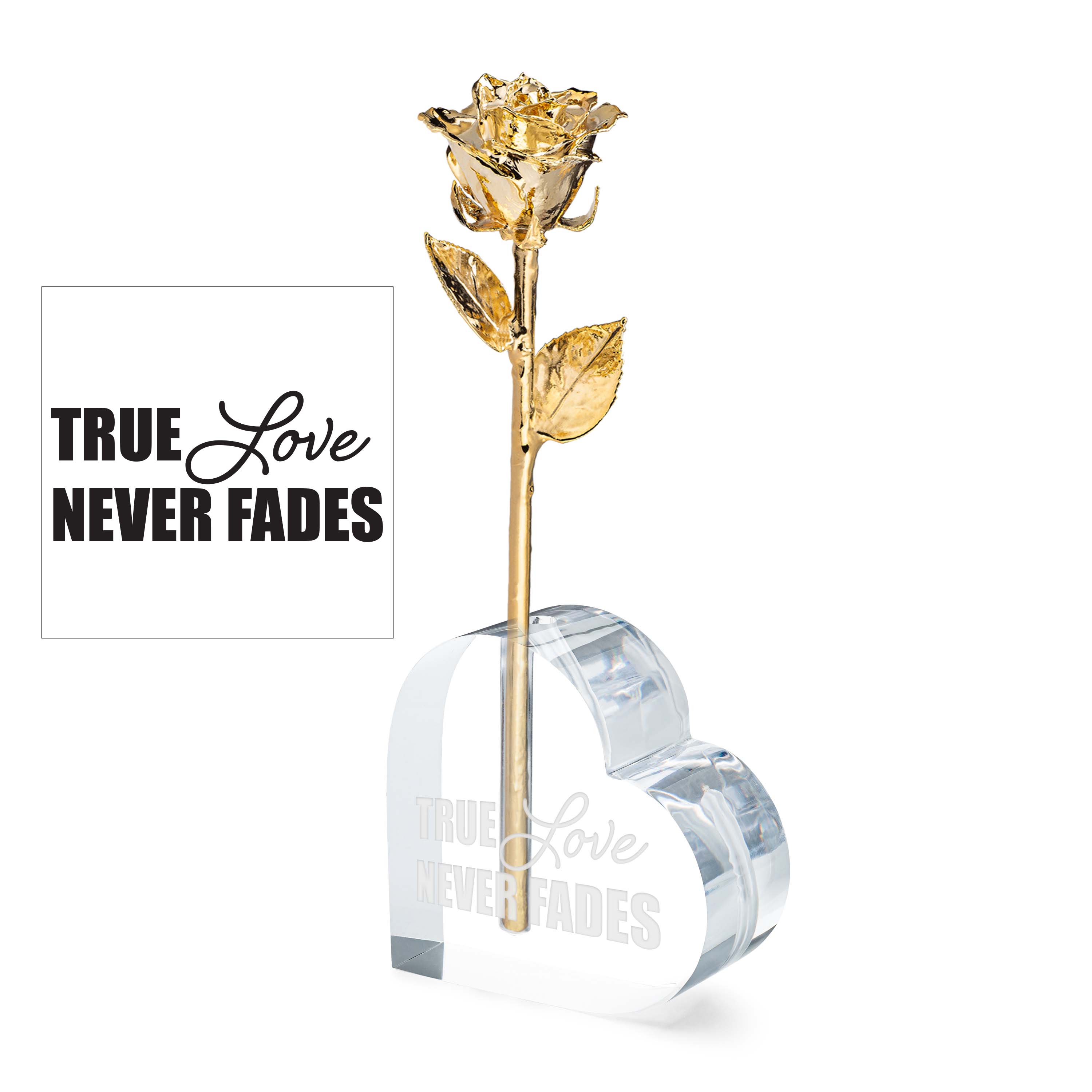 "True Love Never Fades" Heart Vase (1 Rose)