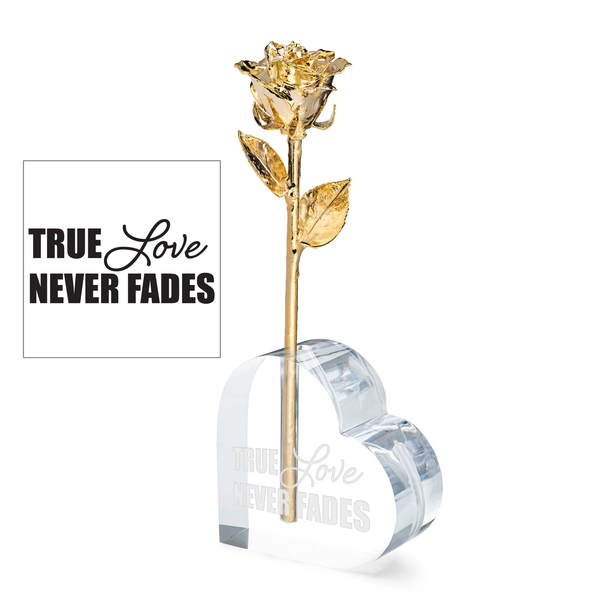 &quot;True Love Never Fades&quot; Heart Vase (1 Rose)