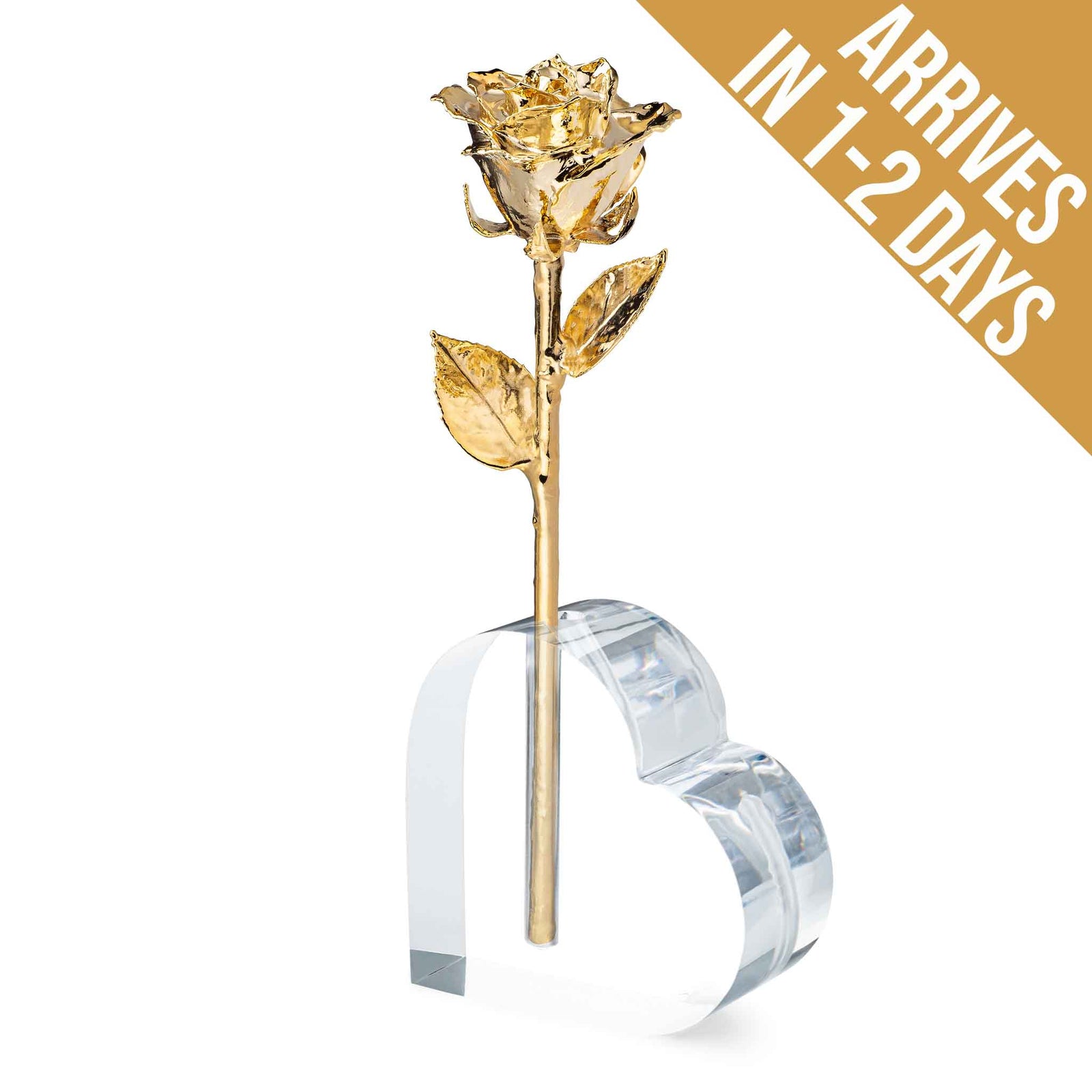 24K Gold Dipped Roses - The Forever Rose