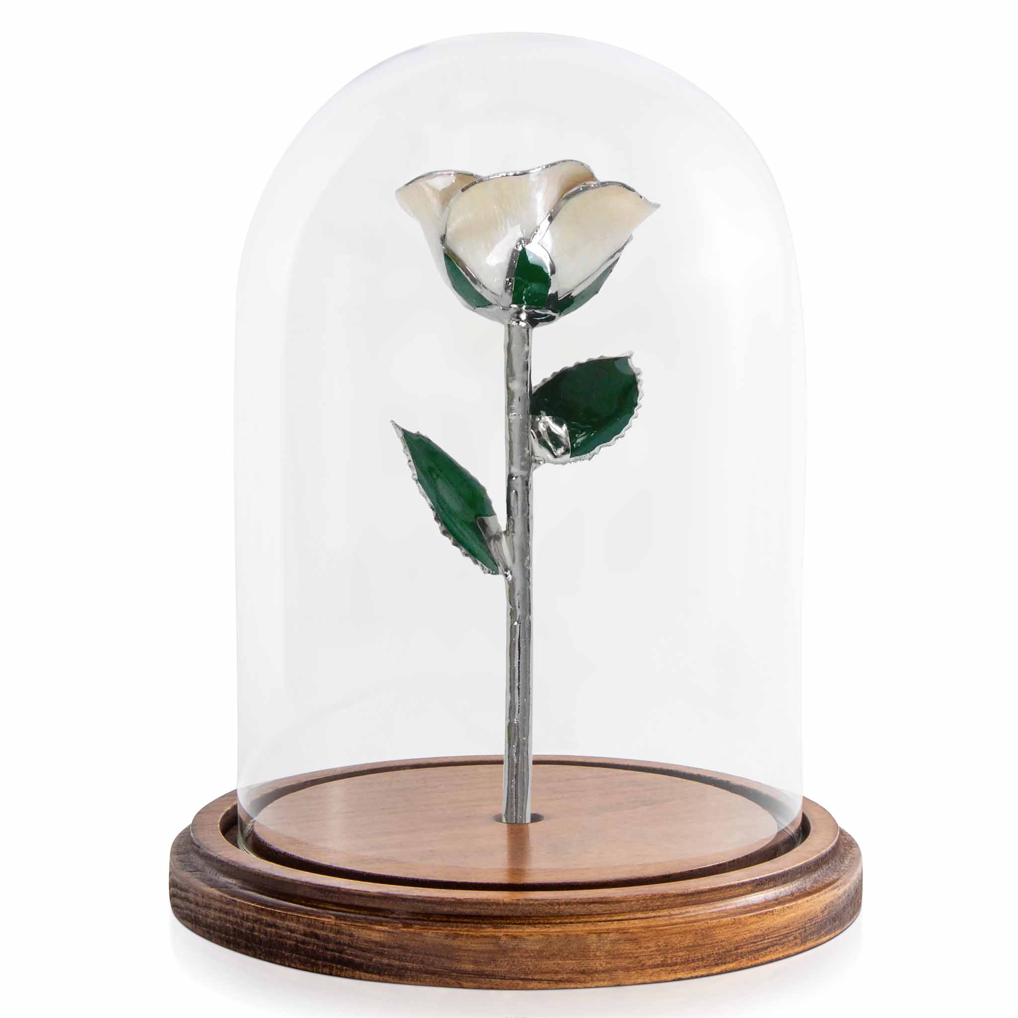 Custom Enchanted Rose - Angel Platinum Trim Rose