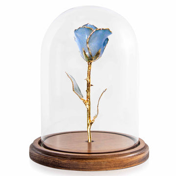 24K Gold Forever Rose - Princess Blue