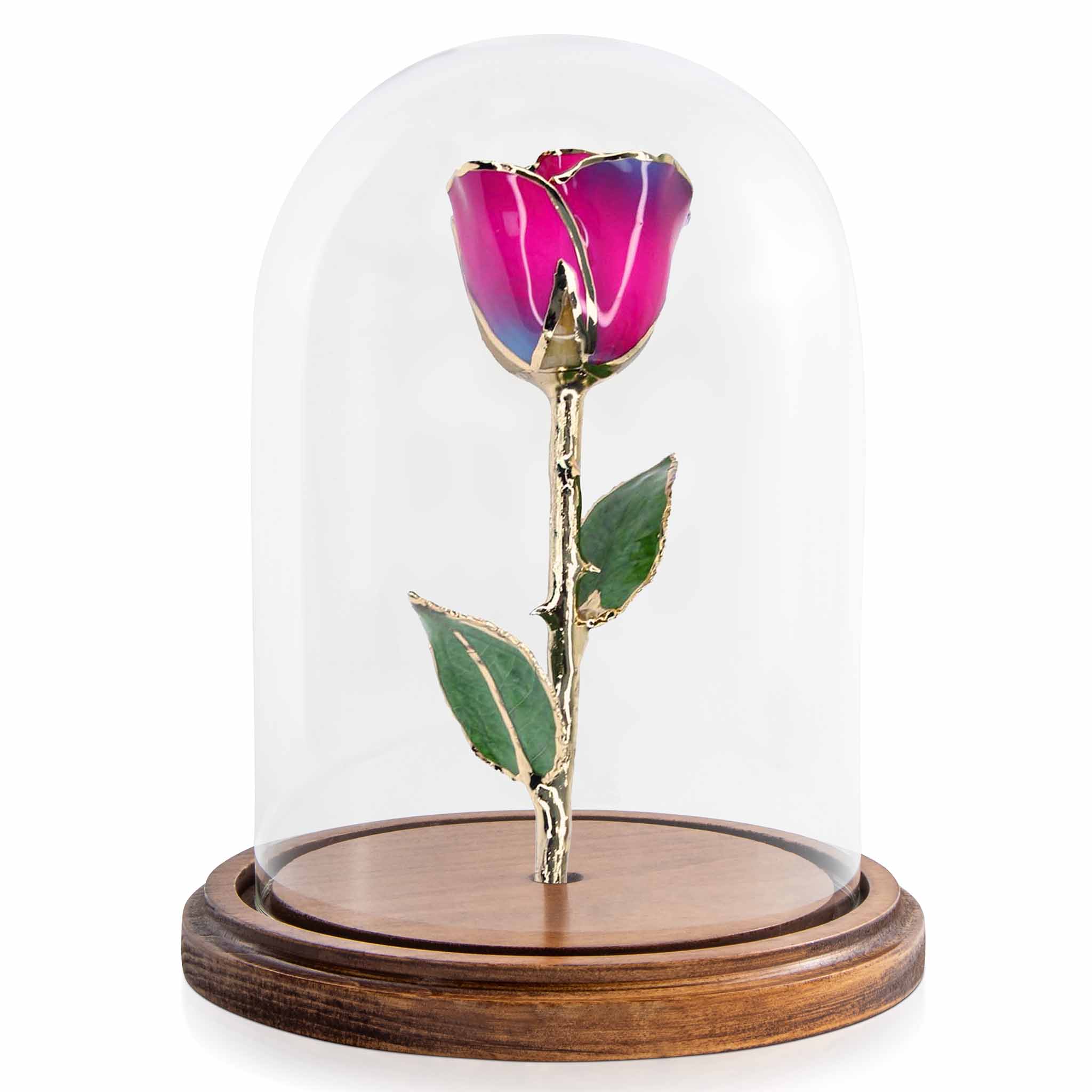 Custom Enchanted Rose w/ 24K Gold Nebula
