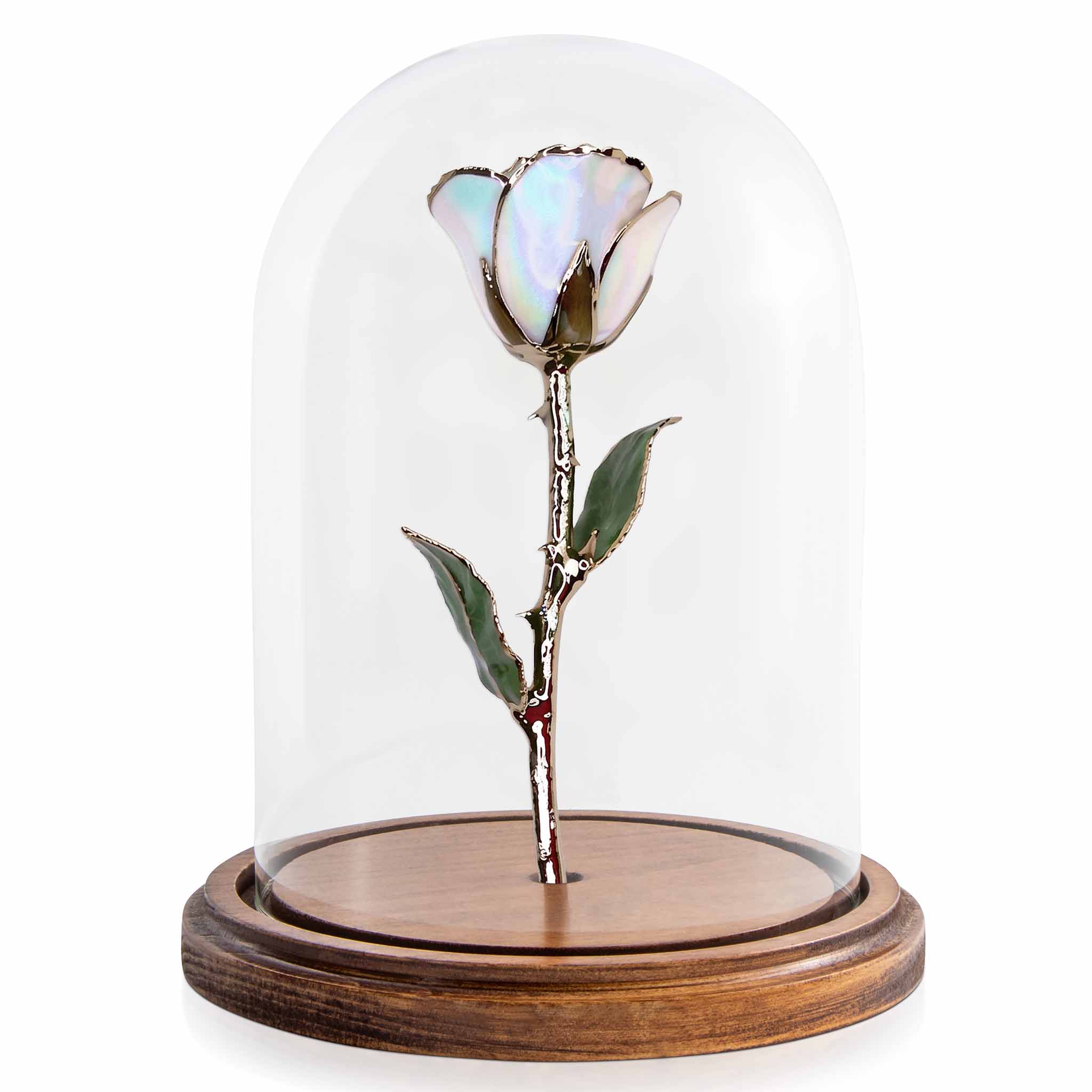 Custom Enchanted Rose - 24K Gold Opal (October) (Redesigned for 2026)