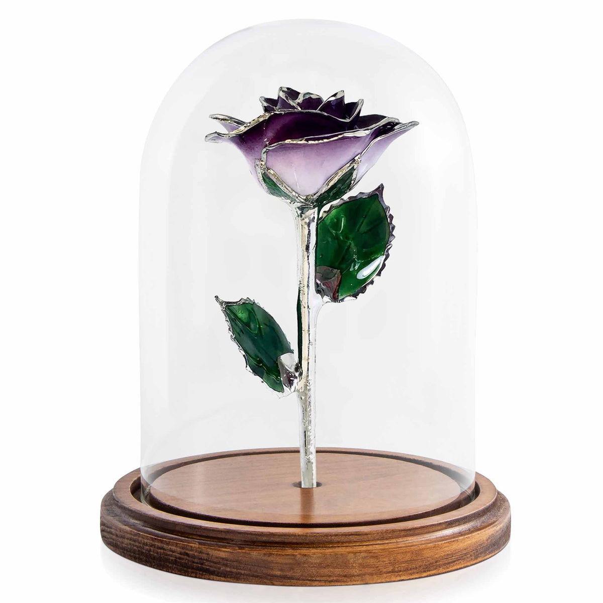 Custom Enchanted Rose - Platinum Trim Purple 2-Tone