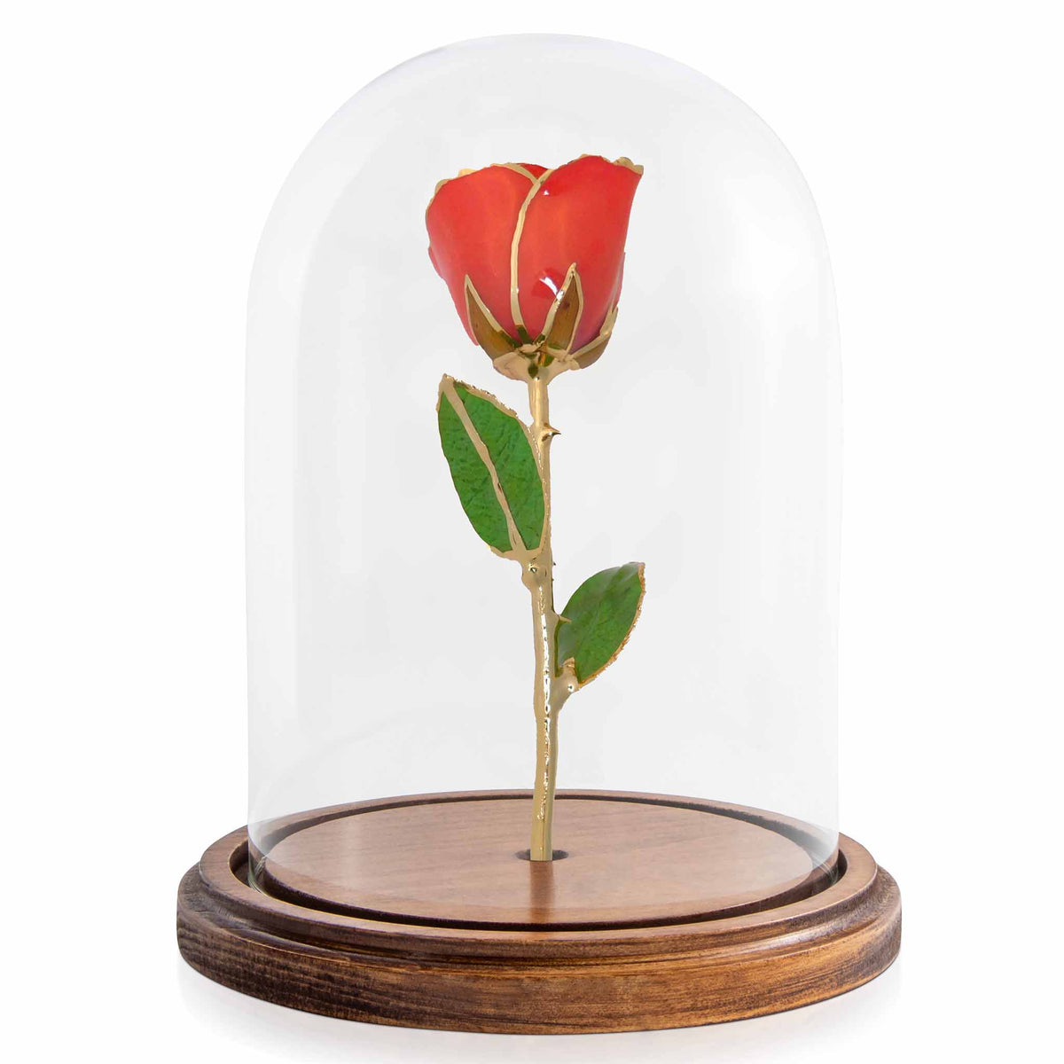 Custom Enchanted Rose w/ 24K Coral Kiss