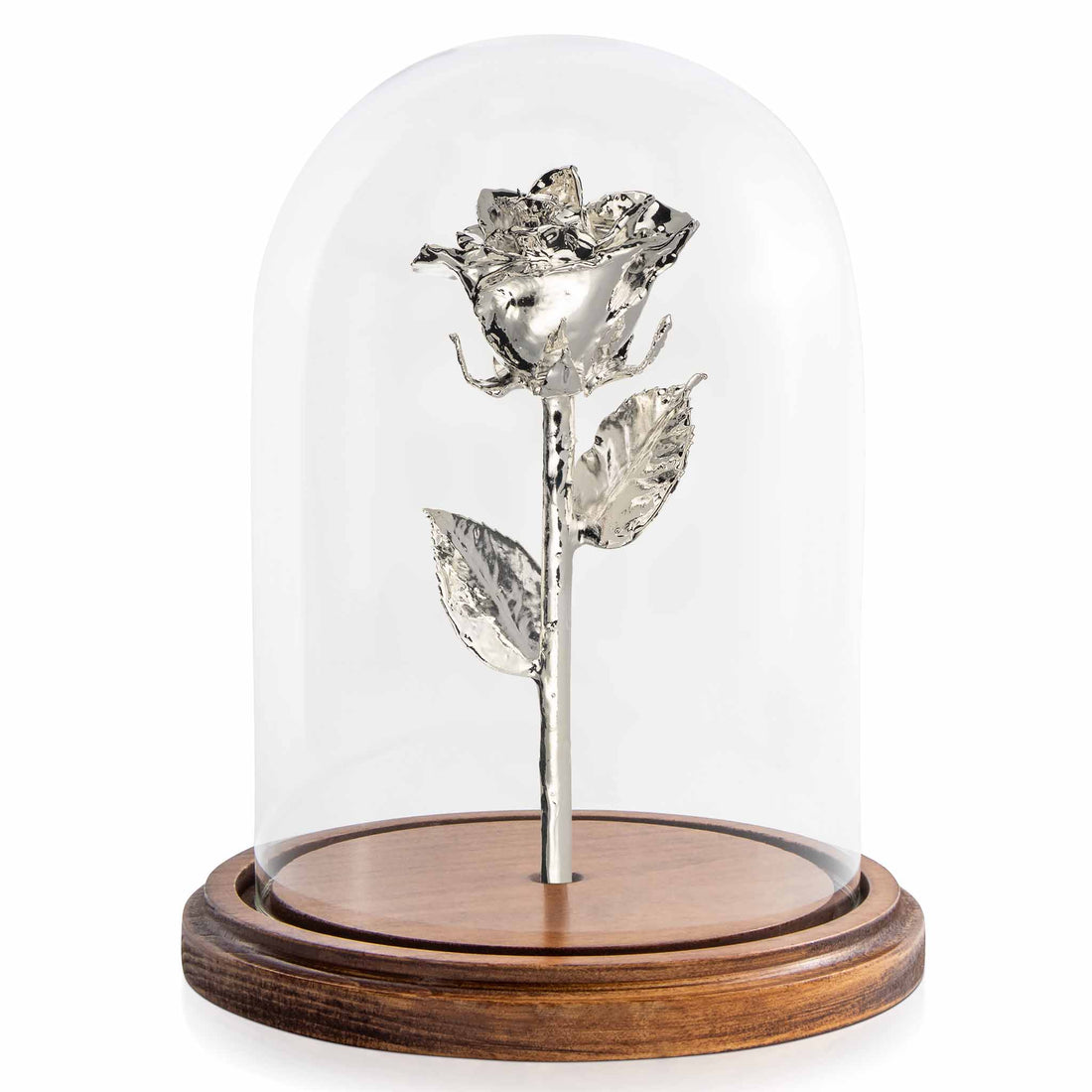 Custom Enchanted Rose w/ Silver Dipped Rose