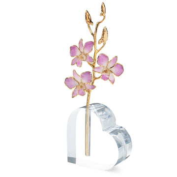 Forever Rose Acrylic Heart Vase (1 Rose)