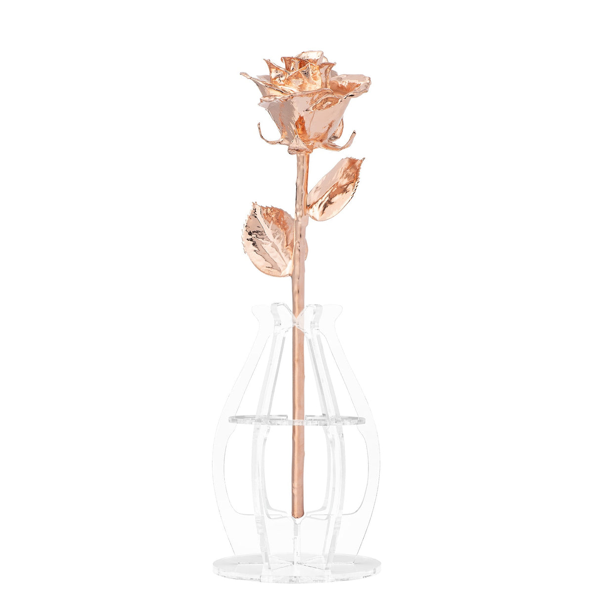 &quot;Happy Anniversary&quot; Personalized Rose Gold Forever Rose Combo with Bloom Box &amp; Phantom Vase™ Combo