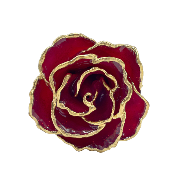 24K Gold Trimmed Roses - The Forever Rose