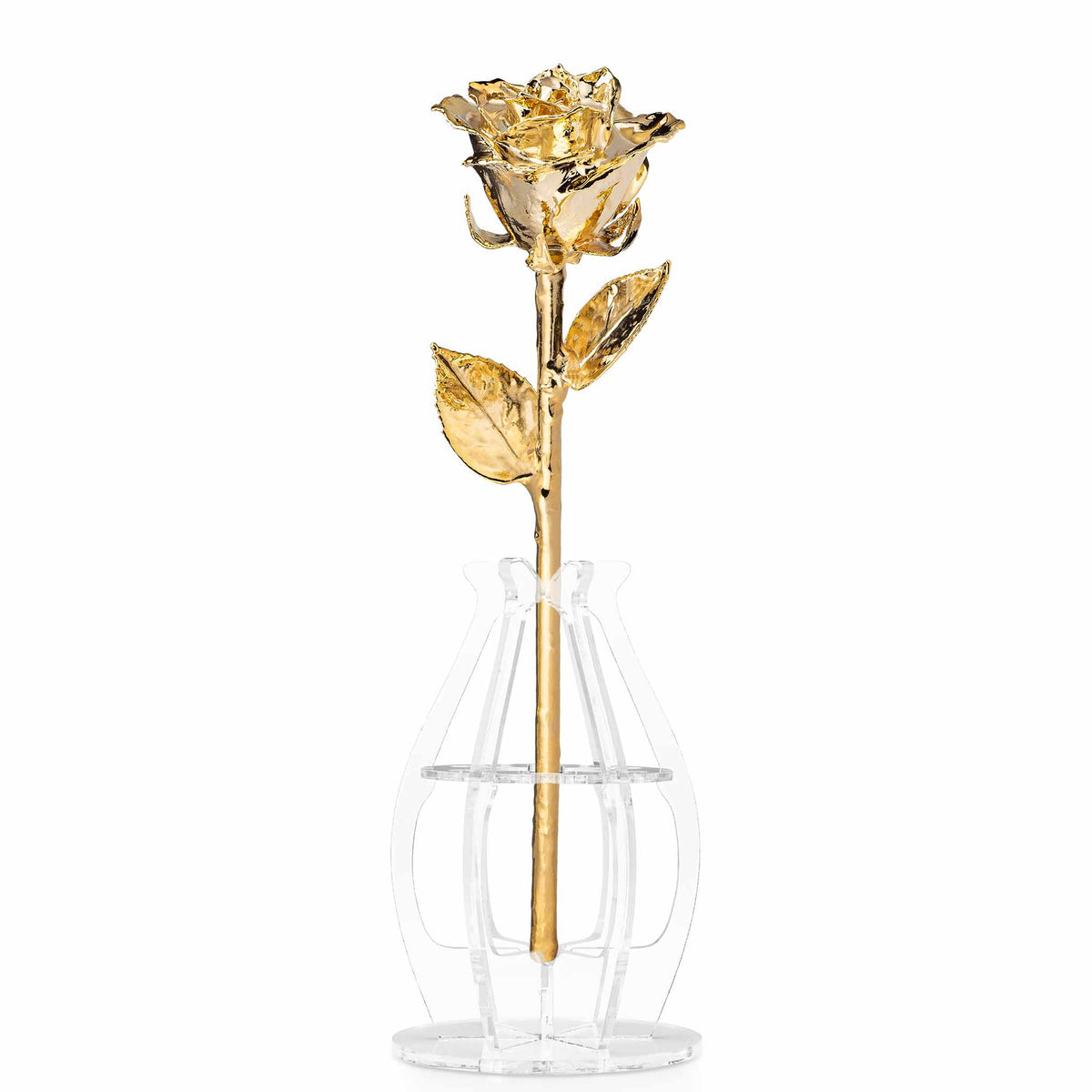 &quot;Happy Anniversary&quot; Personalized 24K Gold Forever Rose Combo with Bloom Box &amp; Phantom Vase™ Combo