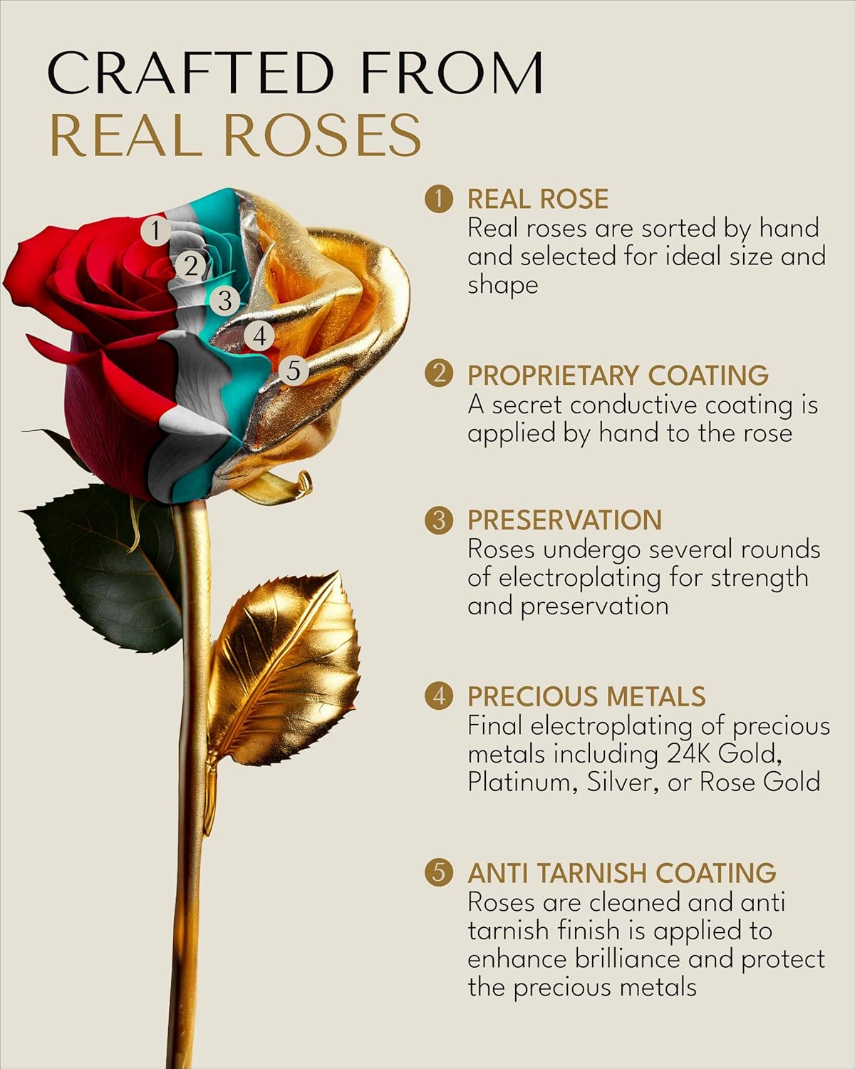 24K Gold Forever Rose - Zebra Rose