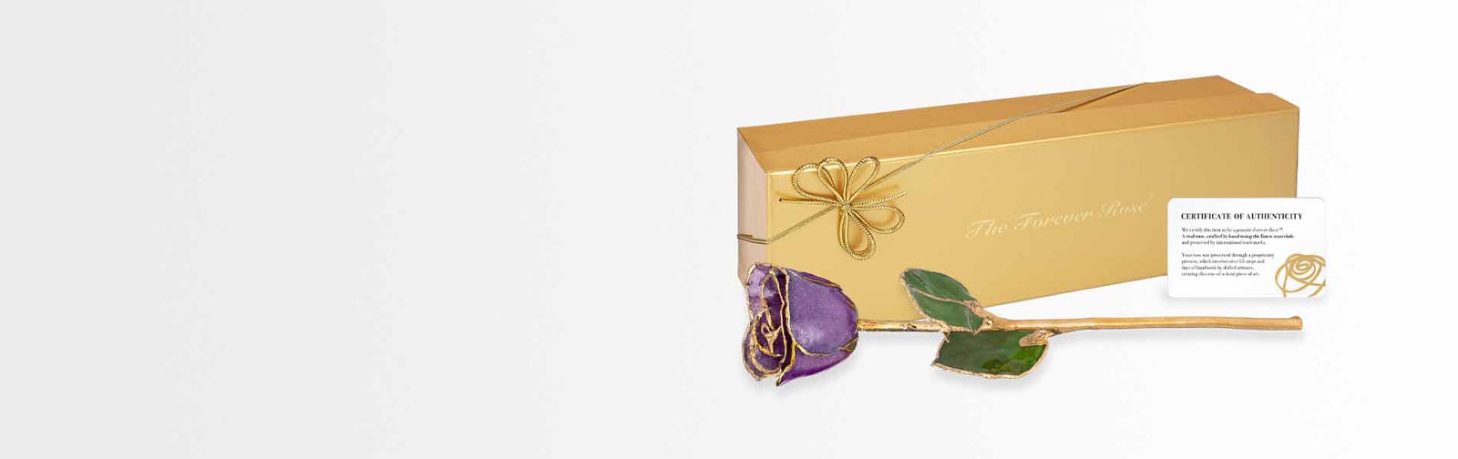 Amethyst Sparkle Forever Rose For February Birthdays