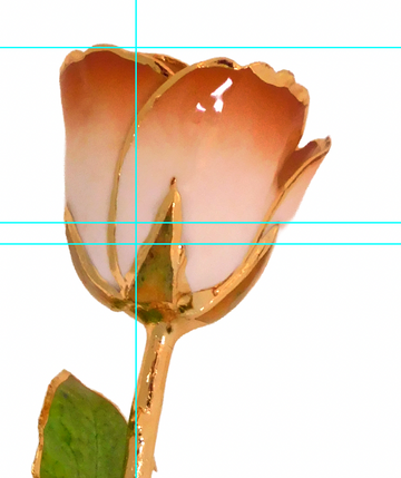 24K Gold Forever Rose - Cappuccino
