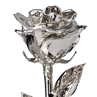 The Forever Rose - Official Site | Real Roses Dipped in 24K Gold