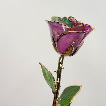 24K Gold Forever Rose - Fairy