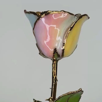 24K Gold Forever Rose - Hope