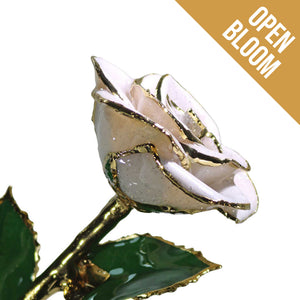 24K Gold Forever Rose - Frozen White Sparkle