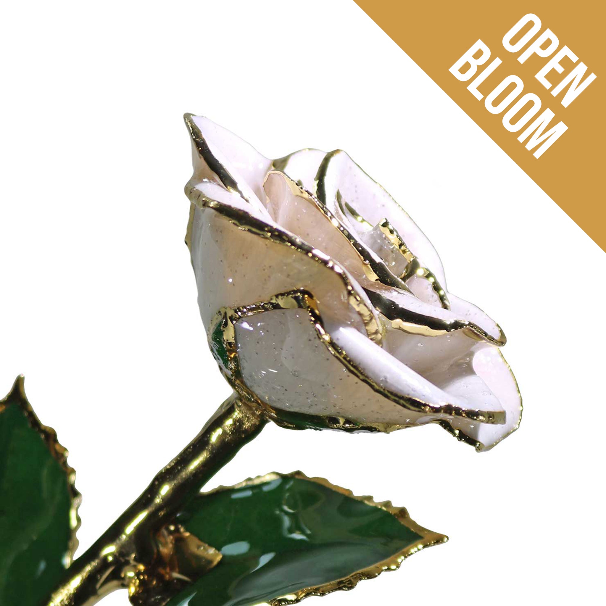 24K Gold Forever Rose - Frozen White Sparkle