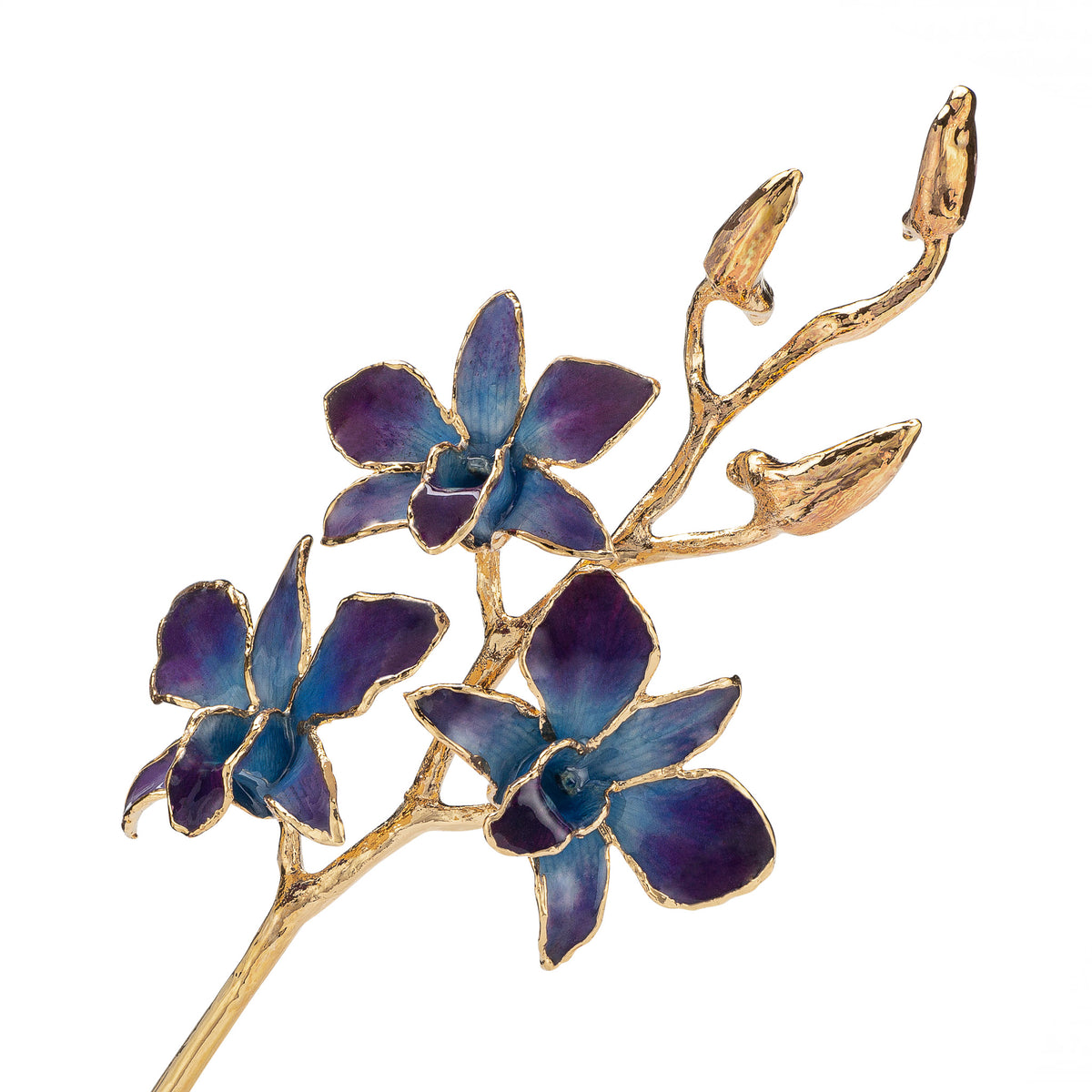 24K Gold Dipped Orchid in Lilac Blue view of gold stem and flowers