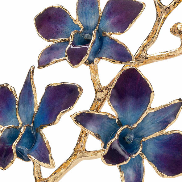 24K Gold Dipped Orchid in Lilac Blue view of gold stem and flowers very close up view featuring flower colors