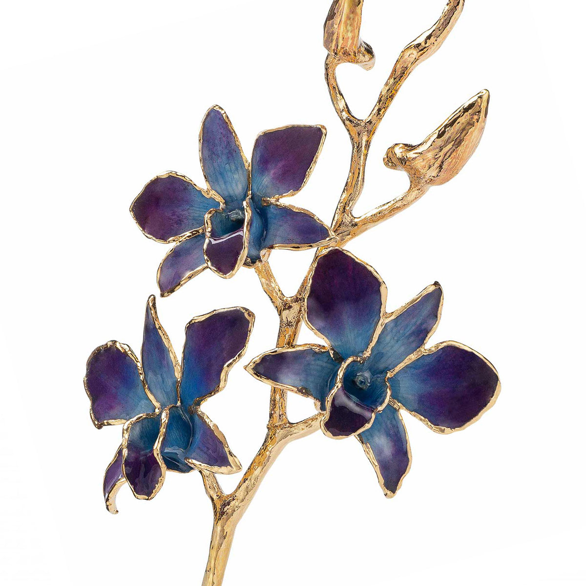 24K Gold Dipped Orchid in Lilac Blue view of gold stem and flowers closeup view