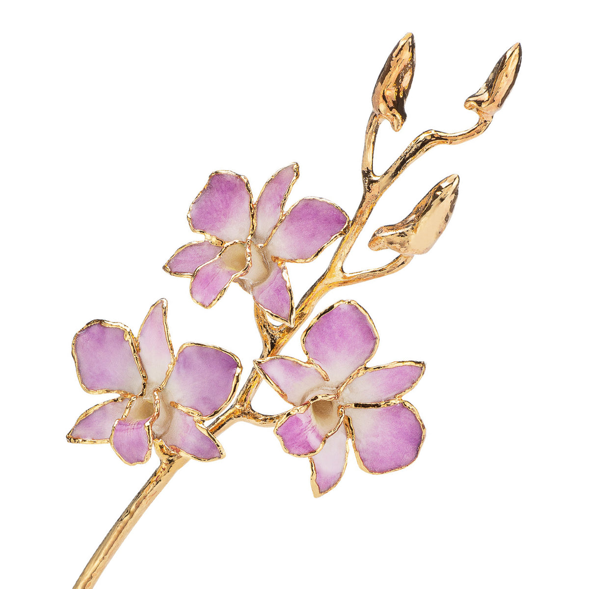 24K Gold Dipped Orchid in Lilac view of gold stem and flowers