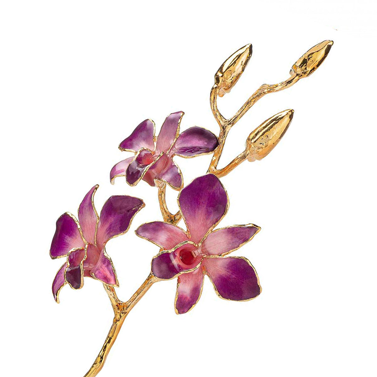 24K Gold Dipped Orchid in Lilac Pink  view of gold stem and flowers