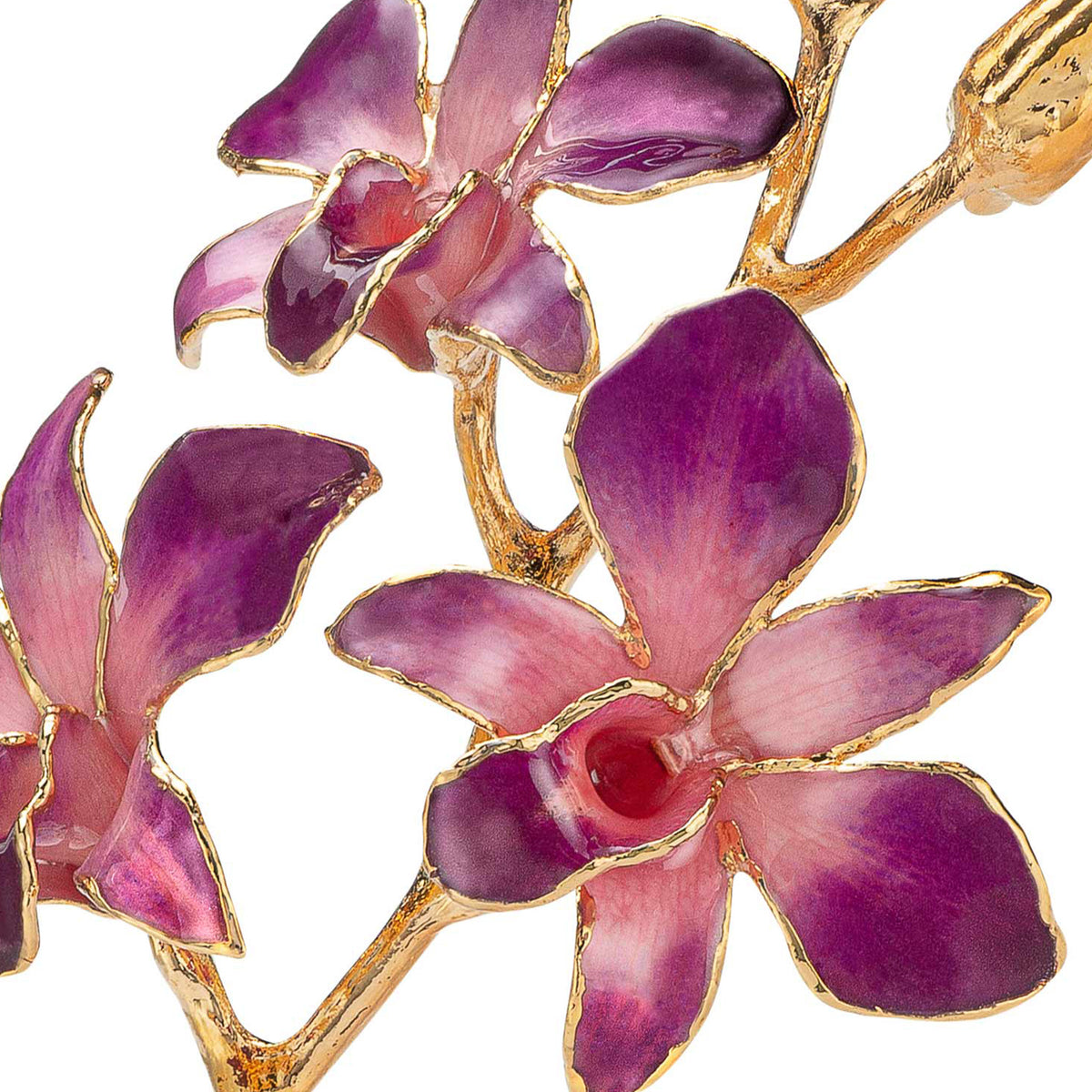 24K Gold Dipped Orchid in Lilac Pink view of gold stem and flowers very closeup up view showing detail