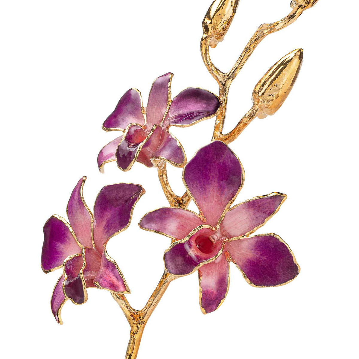 24K Gold Dipped Orchid in Lilac Pink view of gold stem and flowers closeup view